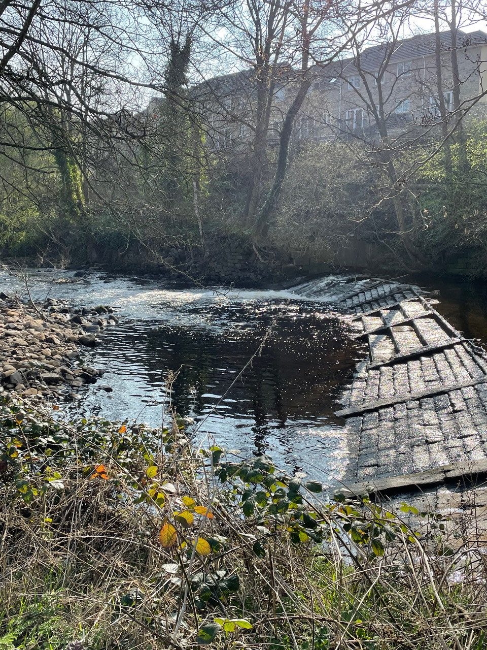 Fwd: Beeley woods			
					</div><!-- .entry-content -->
		
		<footer>
		
		
		
					
					</footer><!-- .entry-meta -->
	</article><!-- #post -->
				
											
				
		
<hr class=
