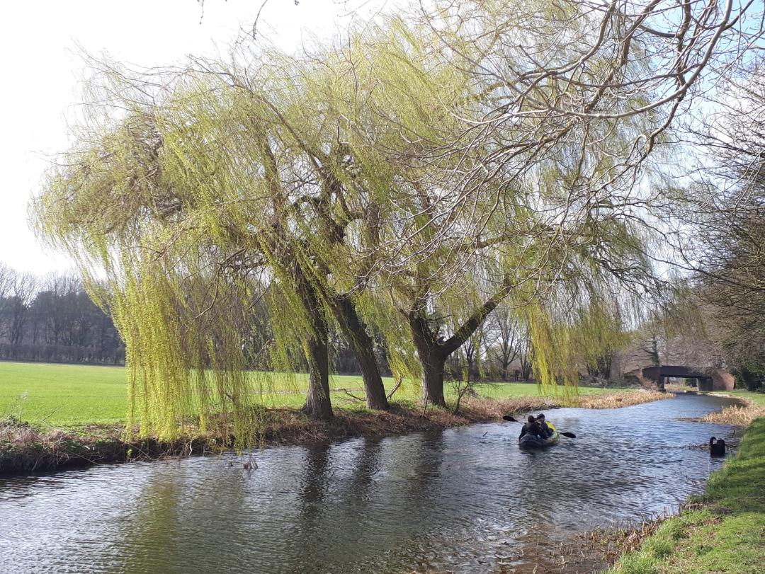 Fwd: maryhestefiels canal (ranby area)			
					</div><!-- .entry-content -->
		
		<footer>
		
		
		
					
					</footer><!-- .entry-meta -->
	</article><!-- #post -->
				
											
				
		
<hr class=