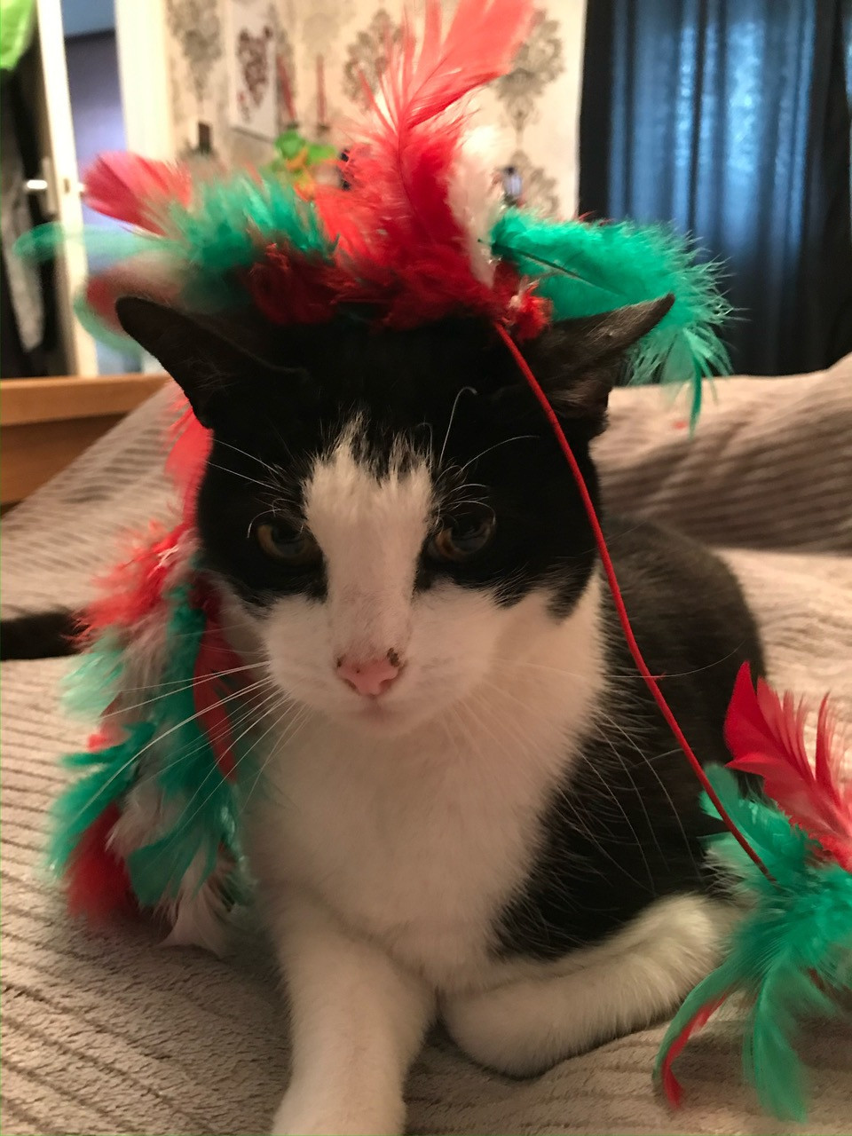 Fwd: Halfer			
					</div><!-- .entry-content -->
		
		<footer>
		
		
		
					
					</footer><!-- .entry-meta -->
	</article><!-- #post -->
				
											
				
		
<hr class=
