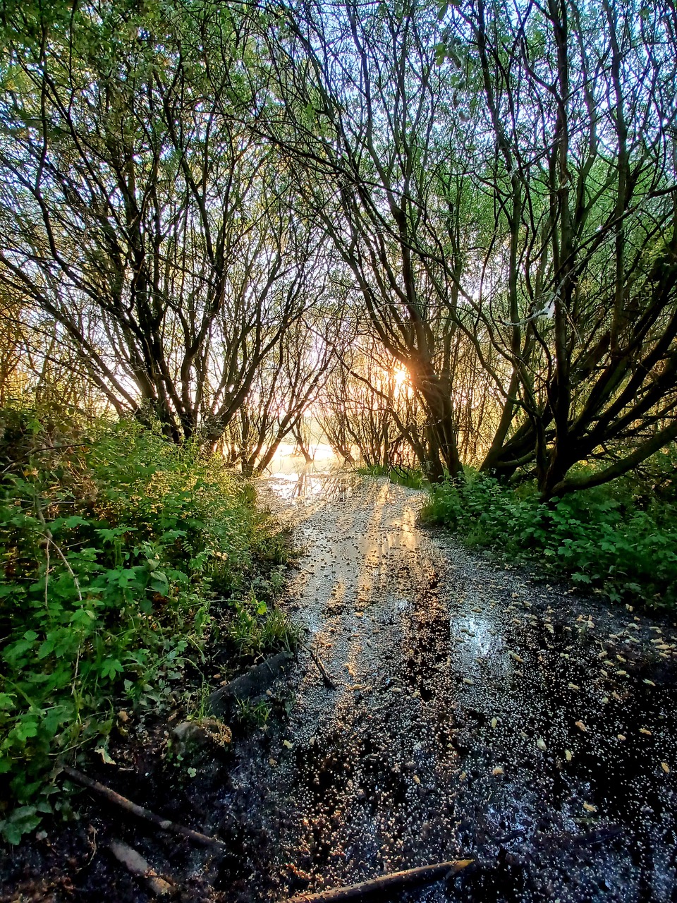 Fwd: Treeton Dyke			
					</div><!-- .entry-content -->
		
		<footer>
		
		
		
					
					</footer><!-- .entry-meta -->
	</article><!-- #post -->
				
											
				
		
<hr class=