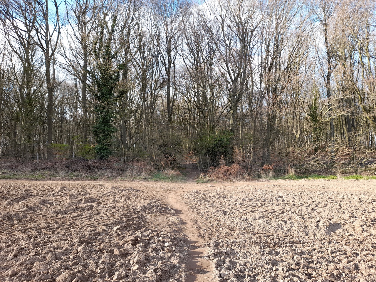 Fwd: Vince,whickersley wood			
					</div><!-- .entry-content -->
		
		<footer>
		
		
		
					
					</footer><!-- .entry-meta -->
	</article><!-- #post -->
				
											
				
		
<hr class=