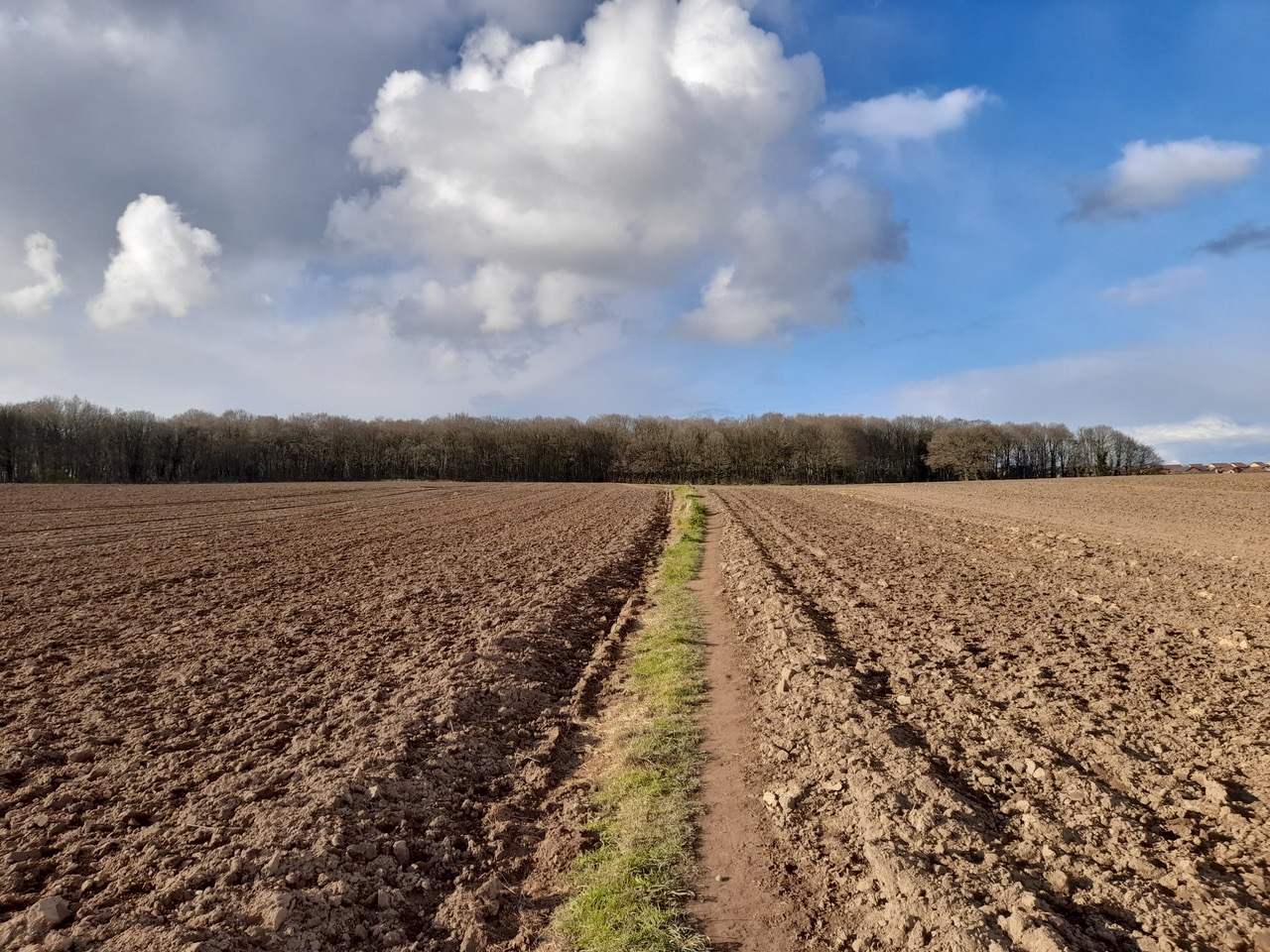 Fwd: Mary,wickersley wood			
					</div><!-- .entry-content -->
		
		<footer>
		
		
		
					
					</footer><!-- .entry-meta -->
	</article><!-- #post -->
				
											
				
		
<hr class=