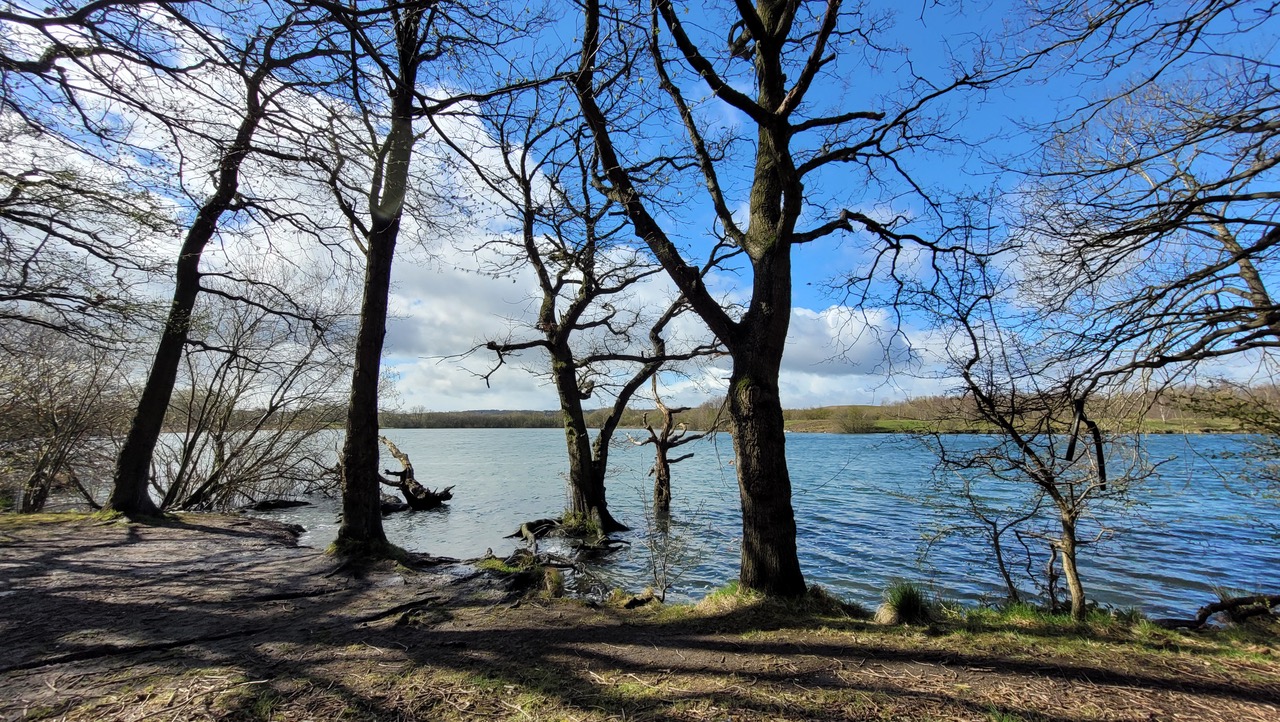 Fwd: Greg Howarth Treeton Dyke Trees			
					</div><!-- .entry-content -->
		
		<footer>
		
		
		
					
					</footer><!-- .entry-meta -->
	</article><!-- #post -->
				
											
				
		
<hr class=