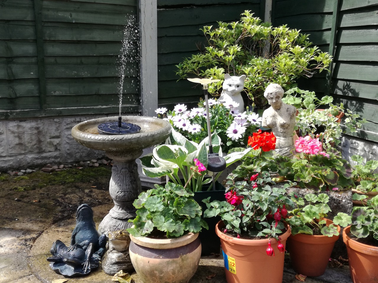 Fwd: Garden at Charnock			
					</div><!-- .entry-content -->
		
		<footer>
		
		
		
					
					</footer><!-- .entry-meta -->
	</article><!-- #post -->
				
											
				
		
<hr class=