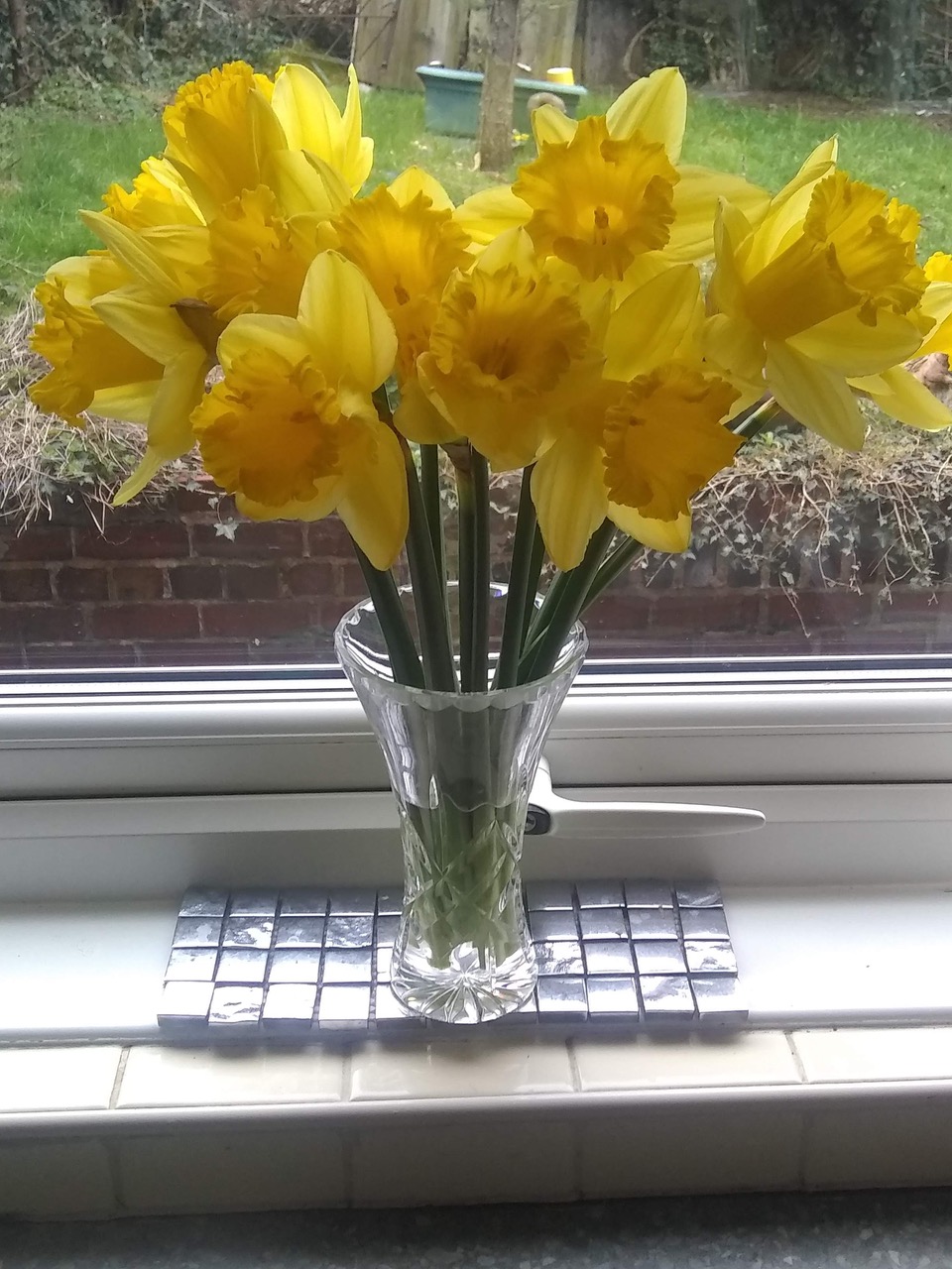Fwd: Spring flowers			
					</div><!-- .entry-content -->
		
		<footer>
		
		
		
					
					</footer><!-- .entry-meta -->
	</article><!-- #post -->
				
											
				
		
<hr class=