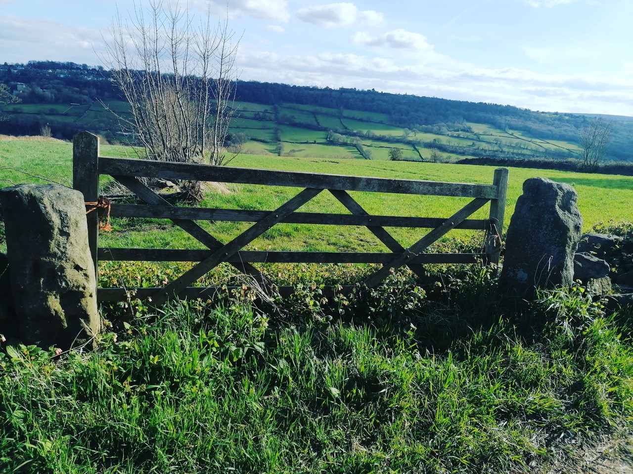 Fwd: Nethergate looking over Rivelin Valley by Vee Jay			
					</div><!-- .entry-content -->
		
		<footer>
		
		
		
					
					</footer><!-- .entry-meta -->
	</article><!-- #post -->
				
											
				
		
<hr class=