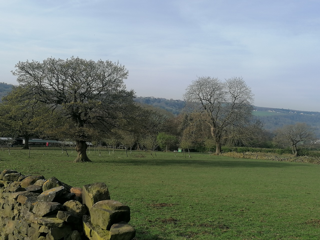 Fwd: Bingley Pastures by Vee Jay			
					</div><!-- .entry-content -->
		
		<footer>
		
		
		
					
					</footer><!-- .entry-meta -->
	</article><!-- #post -->
				
											
				
		
<hr class=