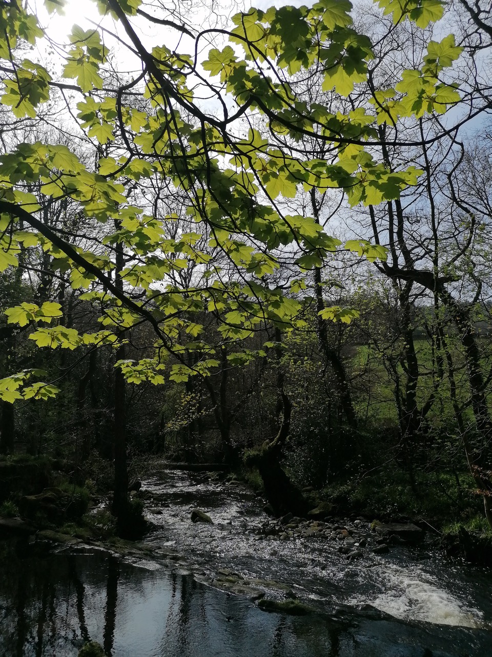 Fwd: Rivelin by Vee Jay			
					</div><!-- .entry-content -->
		
		<footer>
		
		
		
					
					</footer><!-- .entry-meta -->
	</article><!-- #post -->
				
											
				
		
<hr class=