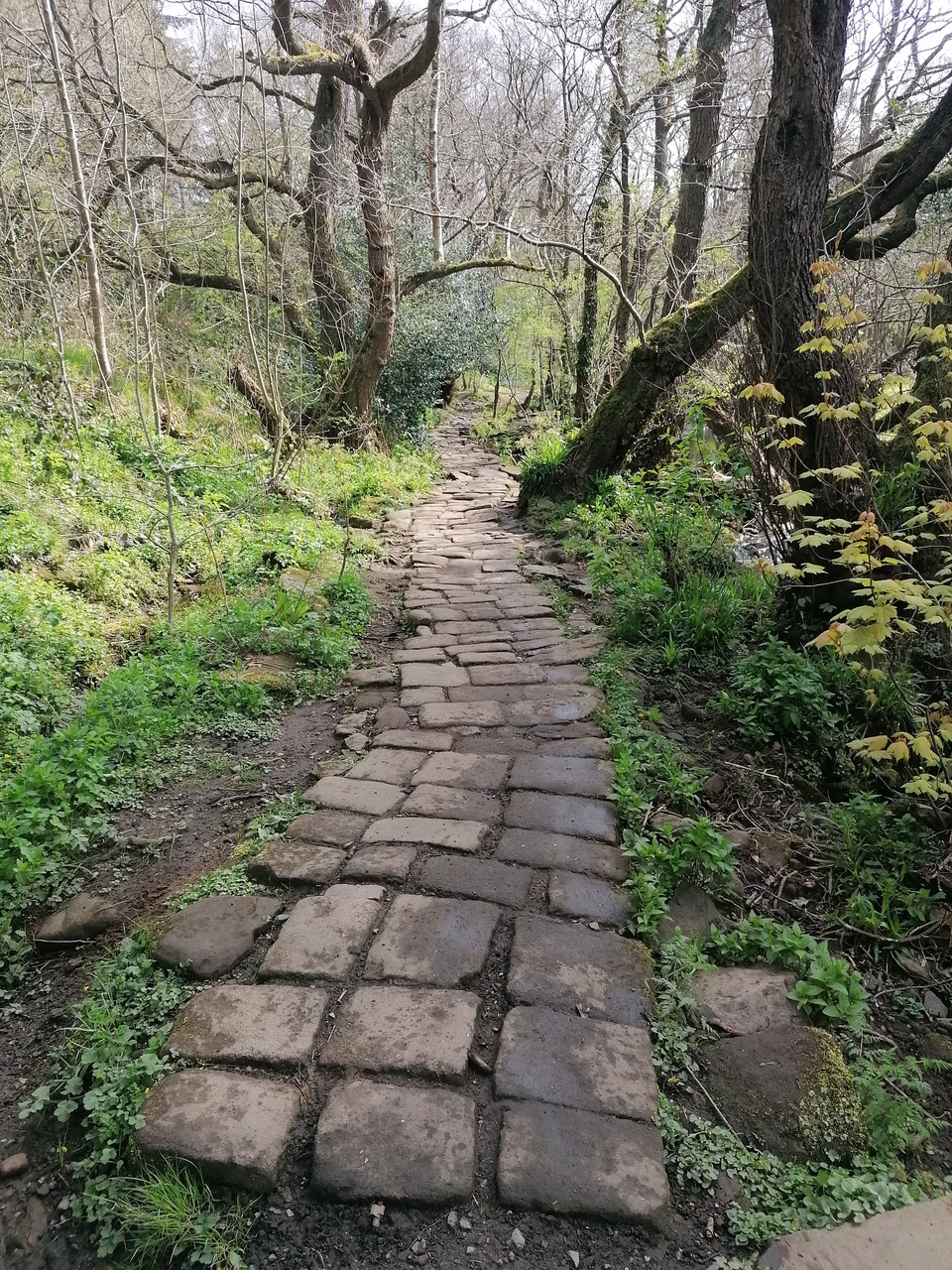Fwd: Rivelin by Vee Jay			
					</div><!-- .entry-content -->
		
		<footer>
		
		
		
					
					</footer><!-- .entry-meta -->
	</article><!-- #post -->
				
											
				
		
<hr class=