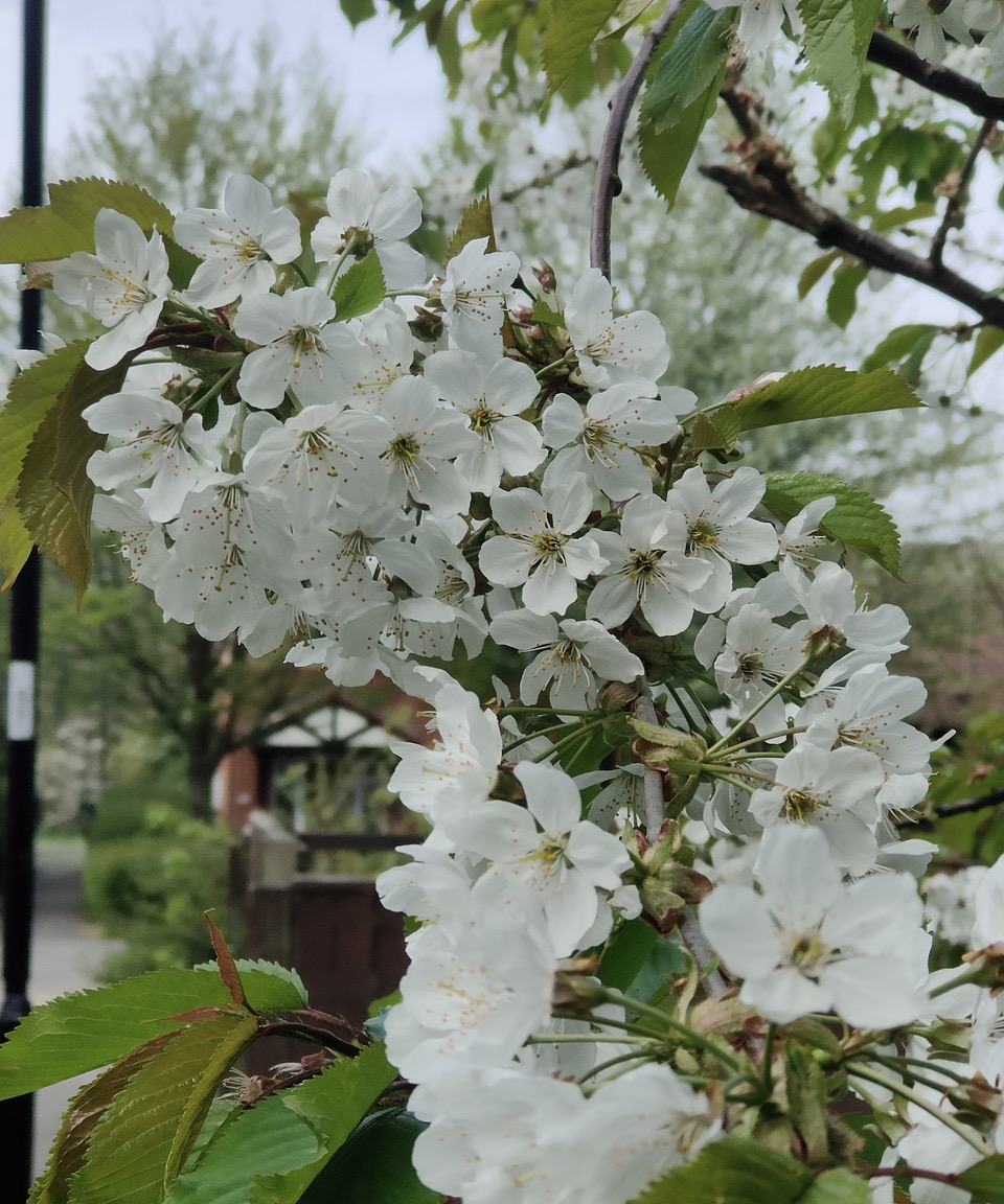 Fwd:			
					</div><!-- .entry-content -->
		
		<footer>
		
		
		
					
					</footer><!-- .entry-meta -->
	</article><!-- #post -->
				
											
				
		
<hr class=