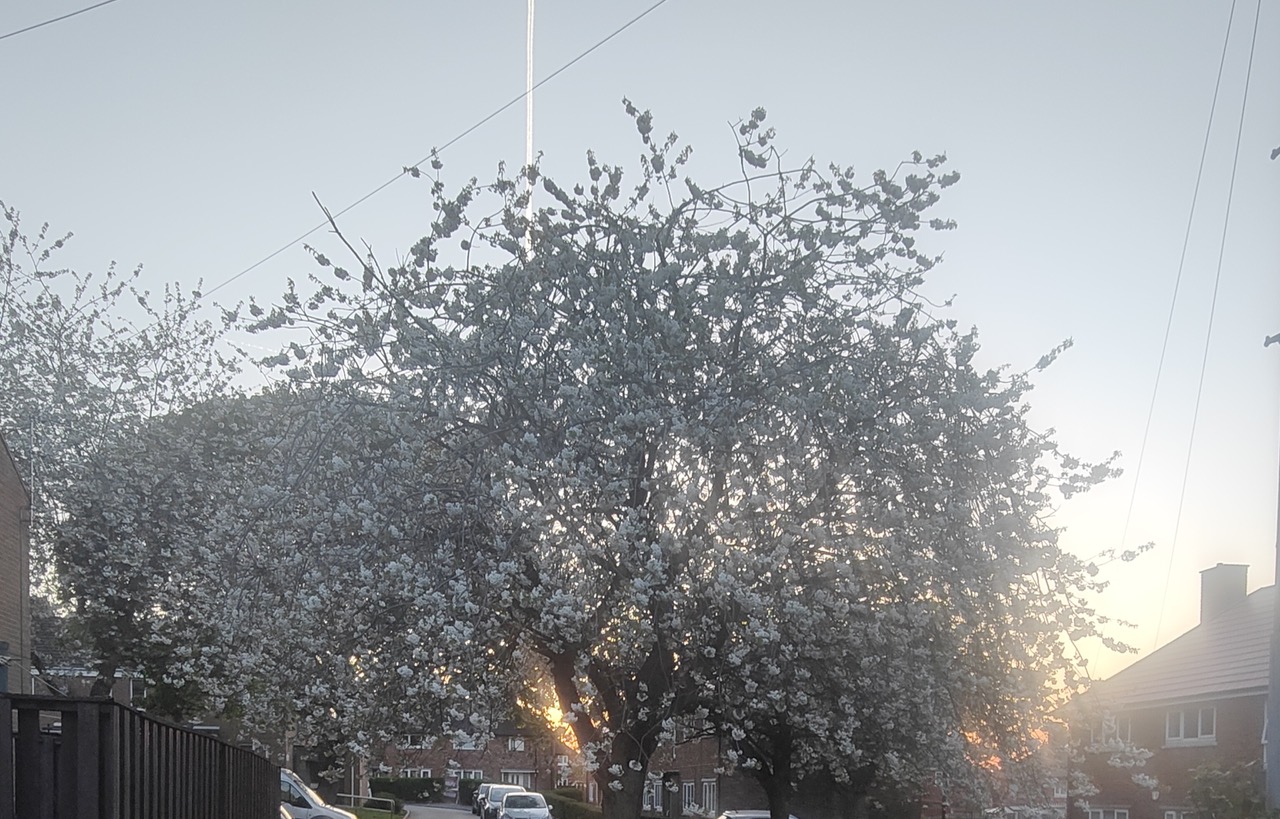 Fwd: Hackenthorpe			
					</div><!-- .entry-content -->
		
		<footer>
		
		
		
					
					</footer><!-- .entry-meta -->
	</article><!-- #post -->
				
											
				
		
<hr class=