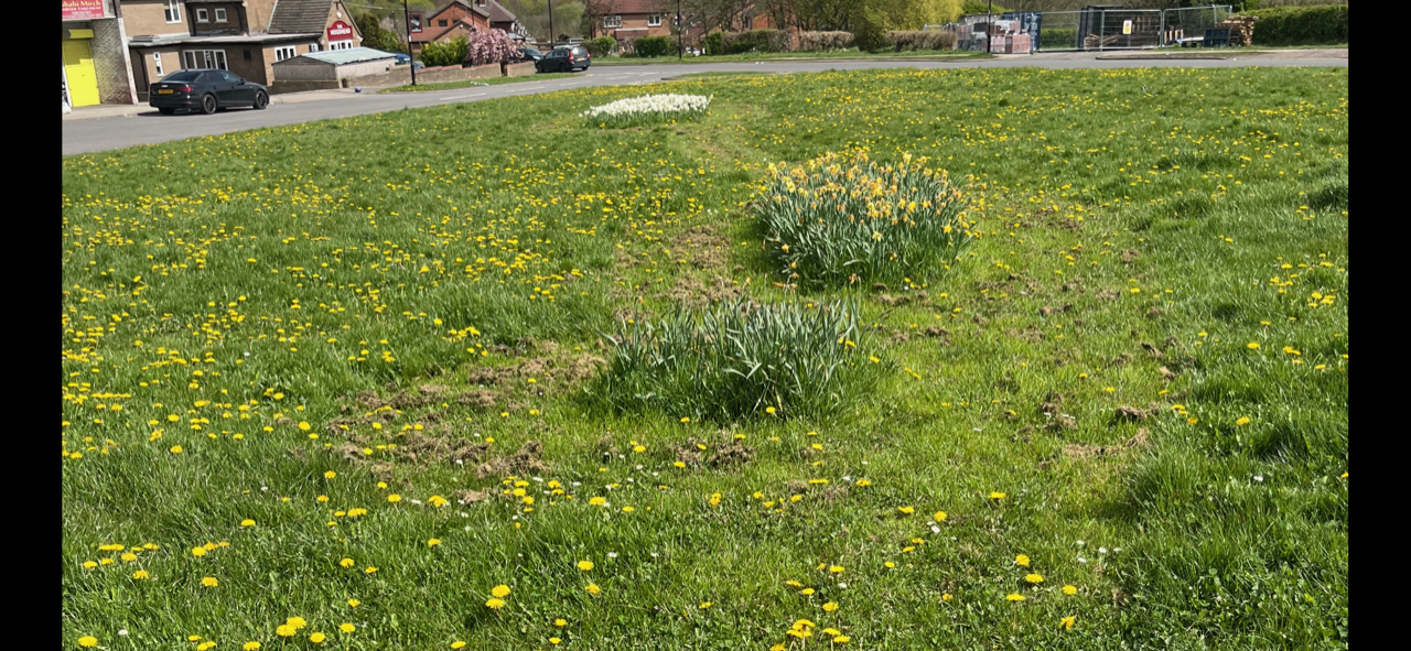 Fwd: Daffodils in Hackenthorpe			
					</div><!-- .entry-content -->
		
		<footer>
		
		
		
					
					</footer><!-- .entry-meta -->
	</article><!-- #post -->
				
											
				
		
<hr class=