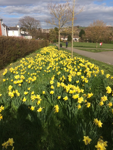 Fwd: Totley rec			
					</div><!-- .entry-content -->
		
		<footer>
		
		
		
					
					</footer><!-- .entry-meta -->
	</article><!-- #post -->
				
											
				
		
<hr class=