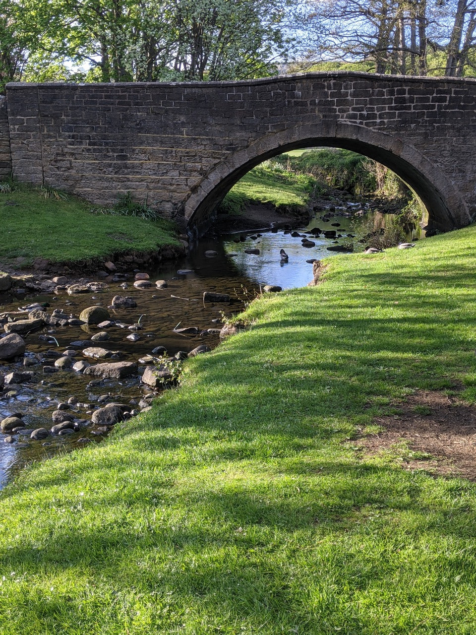 Fwd: Picture of bradfield			
					</div><!-- .entry-content -->
		
		<footer>
		
		
		
					
					</footer><!-- .entry-meta -->
	</article><!-- #post -->
				
											
				
		
<hr class=