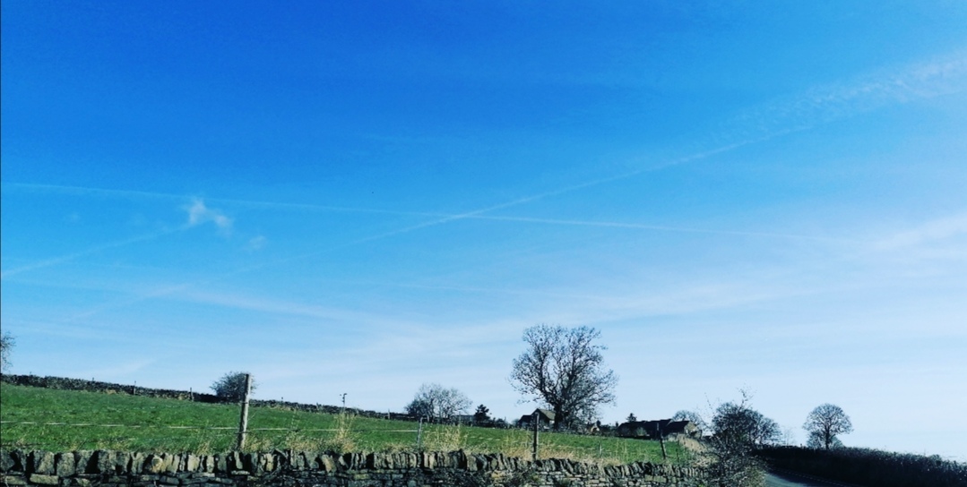 Fwd: Bingley Lane by Vee Jay			
					</div><!-- .entry-content -->
		
		<footer>
		
		
		
					
					</footer><!-- .entry-meta -->
	</article><!-- #post -->
				
											
				
		
<hr class=