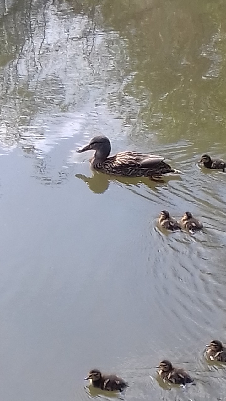 Fwd: Worksop canal			
					</div><!-- .entry-content -->
		
		<footer>
		
		
		
					
					</footer><!-- .entry-meta -->
	</article><!-- #post -->
				
											
				
		
<hr class=