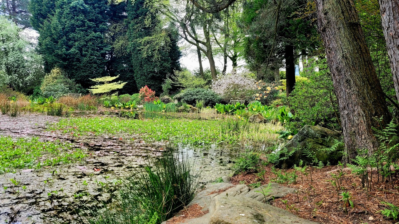 Fwd: Greg Howarth Whirlow Brook Gardens			
					</div><!-- .entry-content -->
		
		<footer>
		
		
		
					
					</footer><!-- .entry-meta -->
	</article><!-- #post -->
				
											
				
		
<hr class=