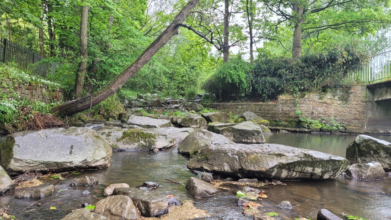 Fwd: Greg Howarth Millhouses park			
					</div><!-- .entry-content -->
		
		<footer>
		
		
		
					
					</footer><!-- .entry-meta -->
	</article><!-- #post -->
				
											
				
		
<hr class=