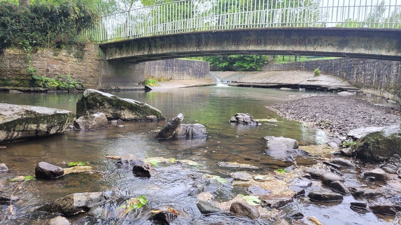 Fwd: Greg Howarth Millhouses Park			
					</div><!-- .entry-content -->
		
		<footer>
		
		
		
					
					</footer><!-- .entry-meta -->
	</article><!-- #post -->
				
											
				
		
<hr class=