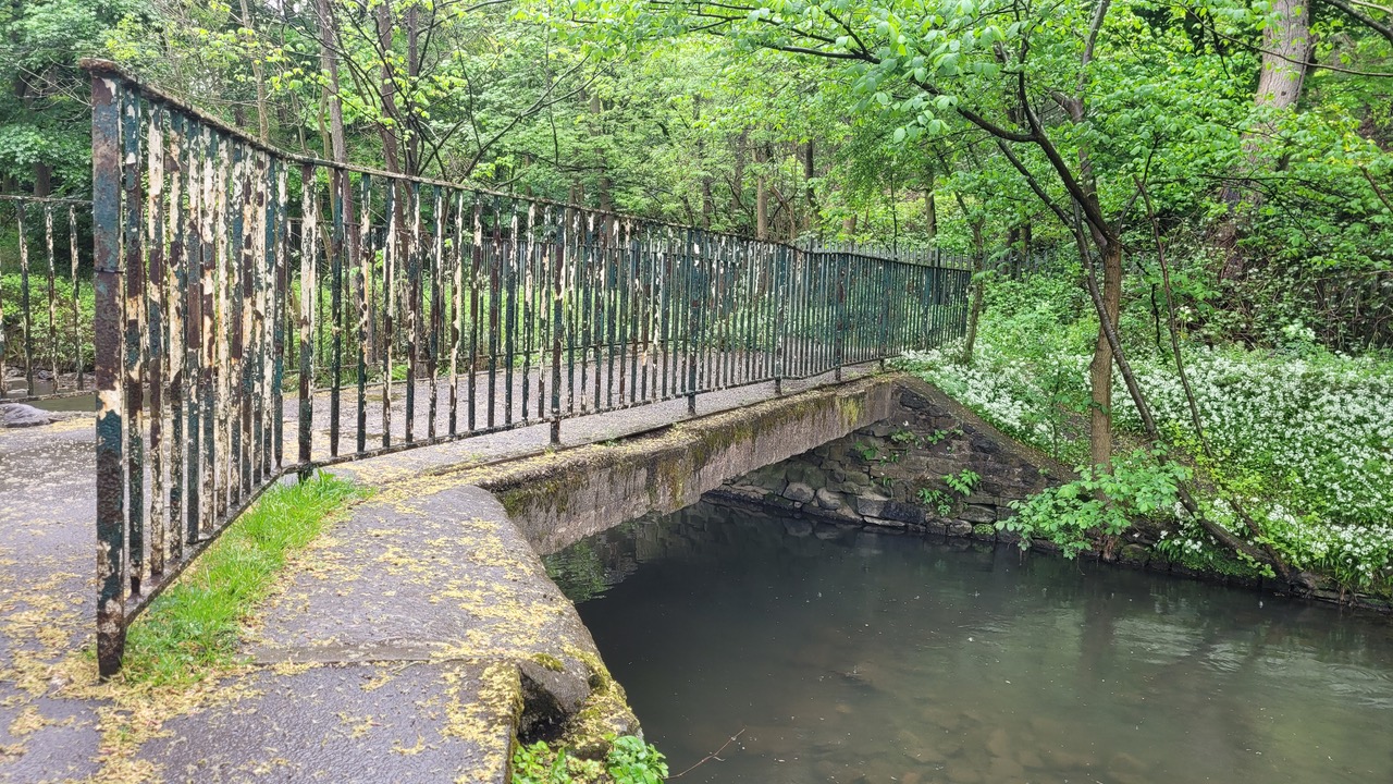 Fwd: Greg Howarth Millhouses Park			
					</div><!-- .entry-content -->
		
		<footer>
		
		
		
					
					</footer><!-- .entry-meta -->
	</article><!-- #post -->
				
											
				
		
<hr class=