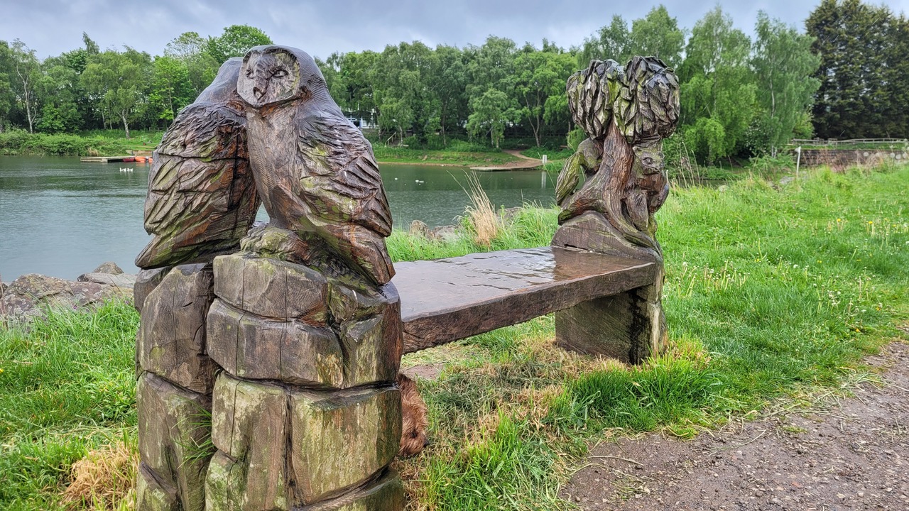 Fwd: Greg Howarth Ulley Reservoir Bench 2			
					</div><!-- .entry-content -->
		
		<footer>
		
		
		
					
					</footer><!-- .entry-meta -->
	</article><!-- #post -->
				
											
				
		
<hr class=