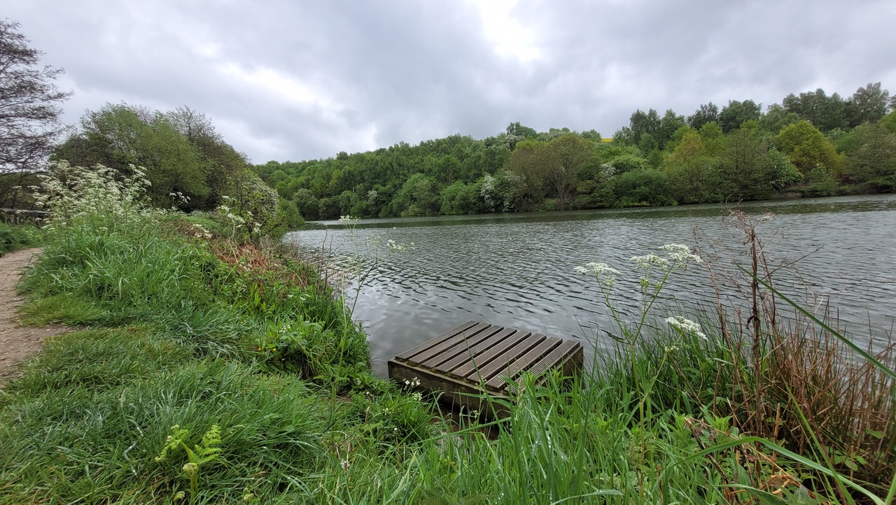 Fwd: Greg Howarth Ulley Reservoir			
					</div><!-- .entry-content -->
		
		<footer>
		
		
		
					
					</footer><!-- .entry-meta -->
	</article><!-- #post -->
				
											
				
		
<hr class=