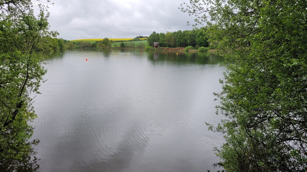 Fwd: Greg Howarth Ulley Reservoir			
					</div><!-- .entry-content -->
		
		<footer>
		
		
		
					
					</footer><!-- .entry-meta -->
	</article><!-- #post -->
				
											
				
		
<hr class=