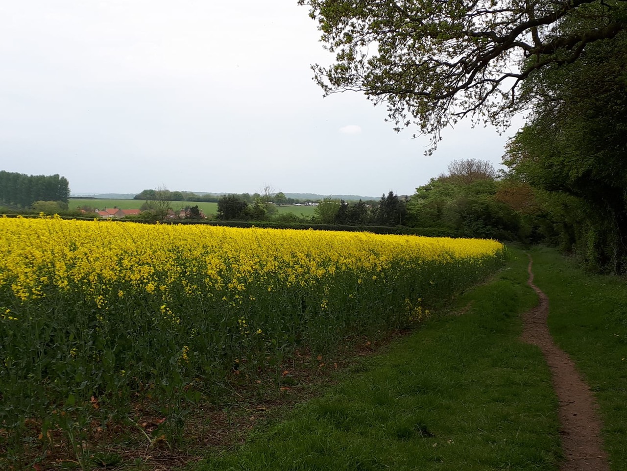 Fwd: Vince,Mary, Blue Bell Wood Firbeck			
					</div><!-- .entry-content -->
		
		<footer>
		
		
		
					
					</footer><!-- .entry-meta -->
	</article><!-- #post -->
				
											
				
		
<hr class=