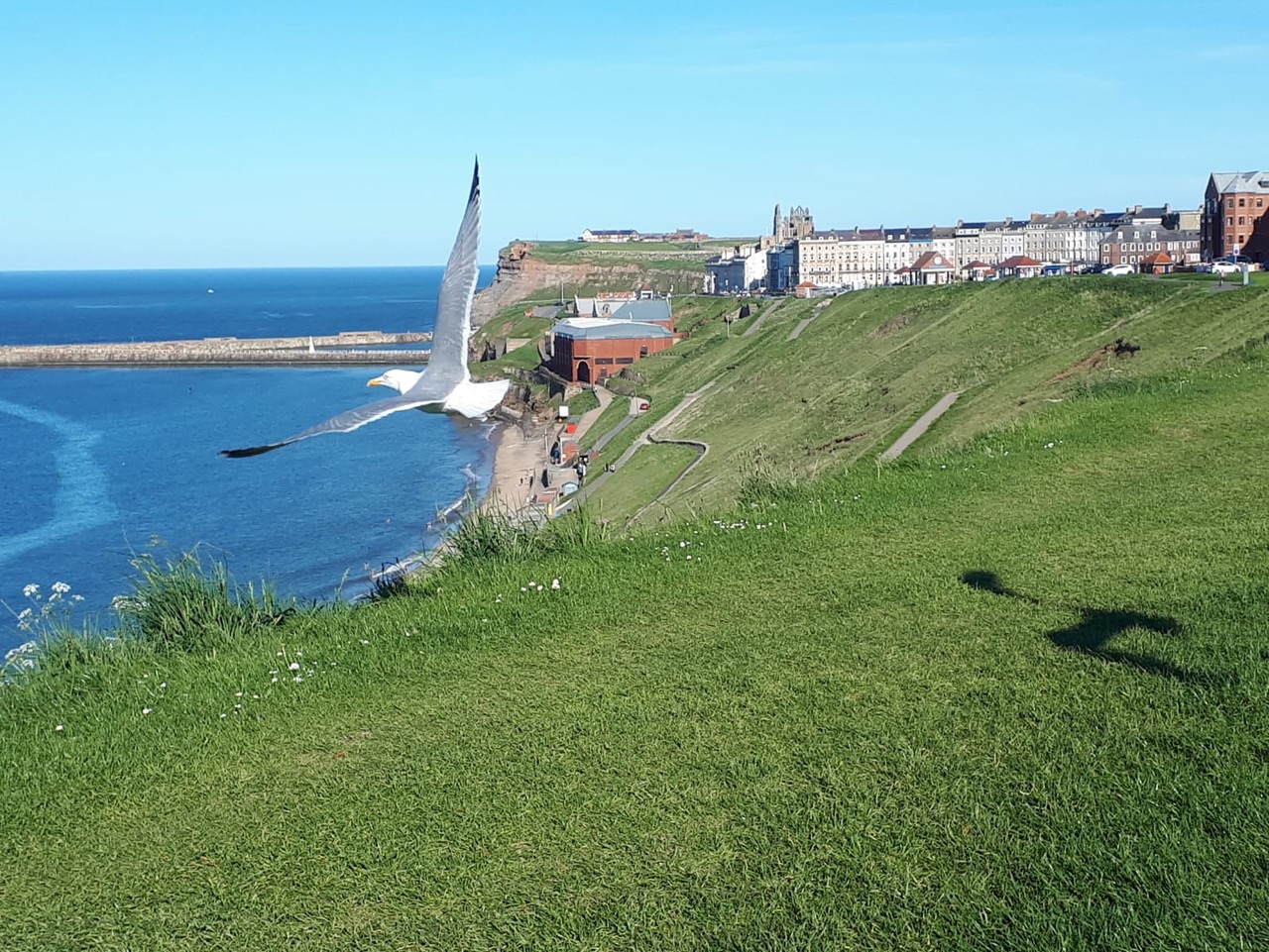 Fwd: Mary,Whitby			
					</div><!-- .entry-content -->
		
		<footer>
		
		
		
					
					</footer><!-- .entry-meta -->
	</article><!-- #post -->
				
											
				
		
<hr class=
