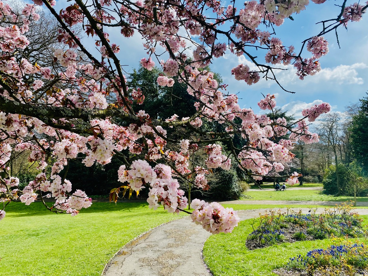 Fwd: Sheffield Botanical Gardens. Keith Bown			
					</div><!-- .entry-content -->
		
		<footer>
		
		
		
					
					</footer><!-- .entry-meta -->
	</article><!-- #post -->
				
											
				
		
<hr class=