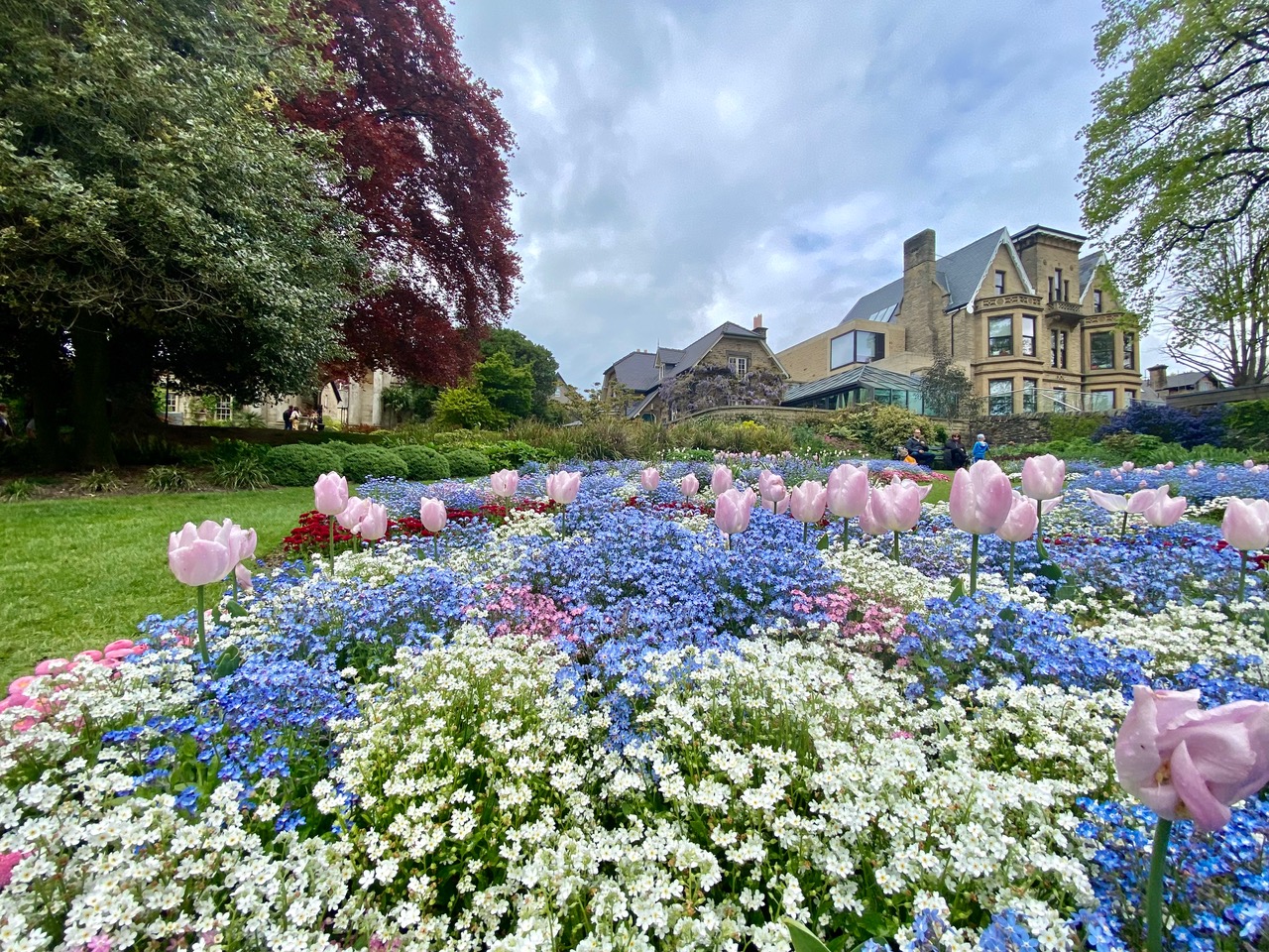 Fwd: Sheffield Botanical Gardens. Keith Bown			
					</div><!-- .entry-content -->
		
		<footer>
		
		
		
					
					</footer><!-- .entry-meta -->
	</article><!-- #post -->
				
											
				
		
<hr class=