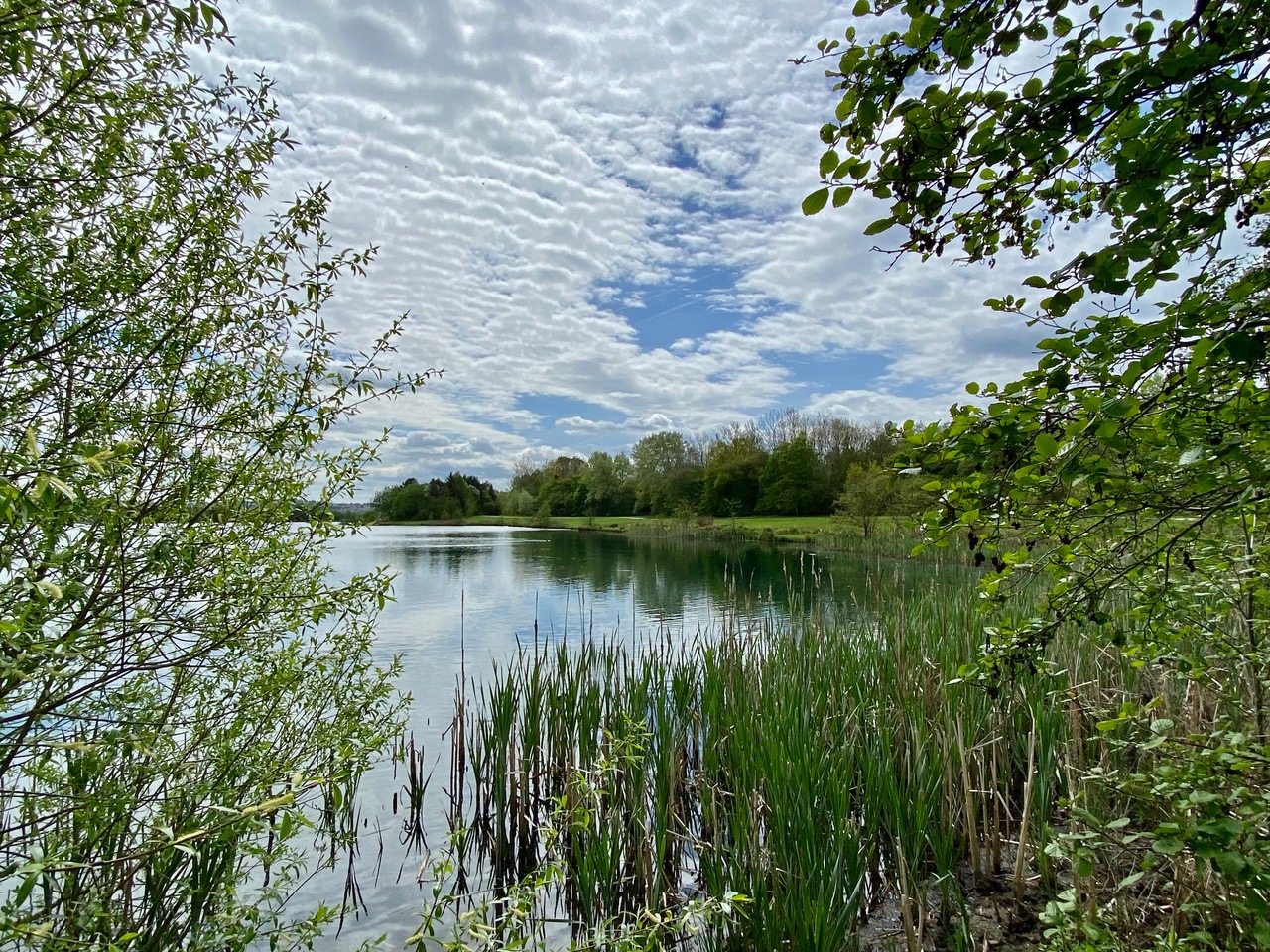 Fwd: Rother Valley Country Park. Keith Bown			
					</div><!-- .entry-content -->
		
		<footer>
		
		
		
					
					</footer><!-- .entry-meta -->
	</article><!-- #post -->
				
											
				
		
<hr class=
