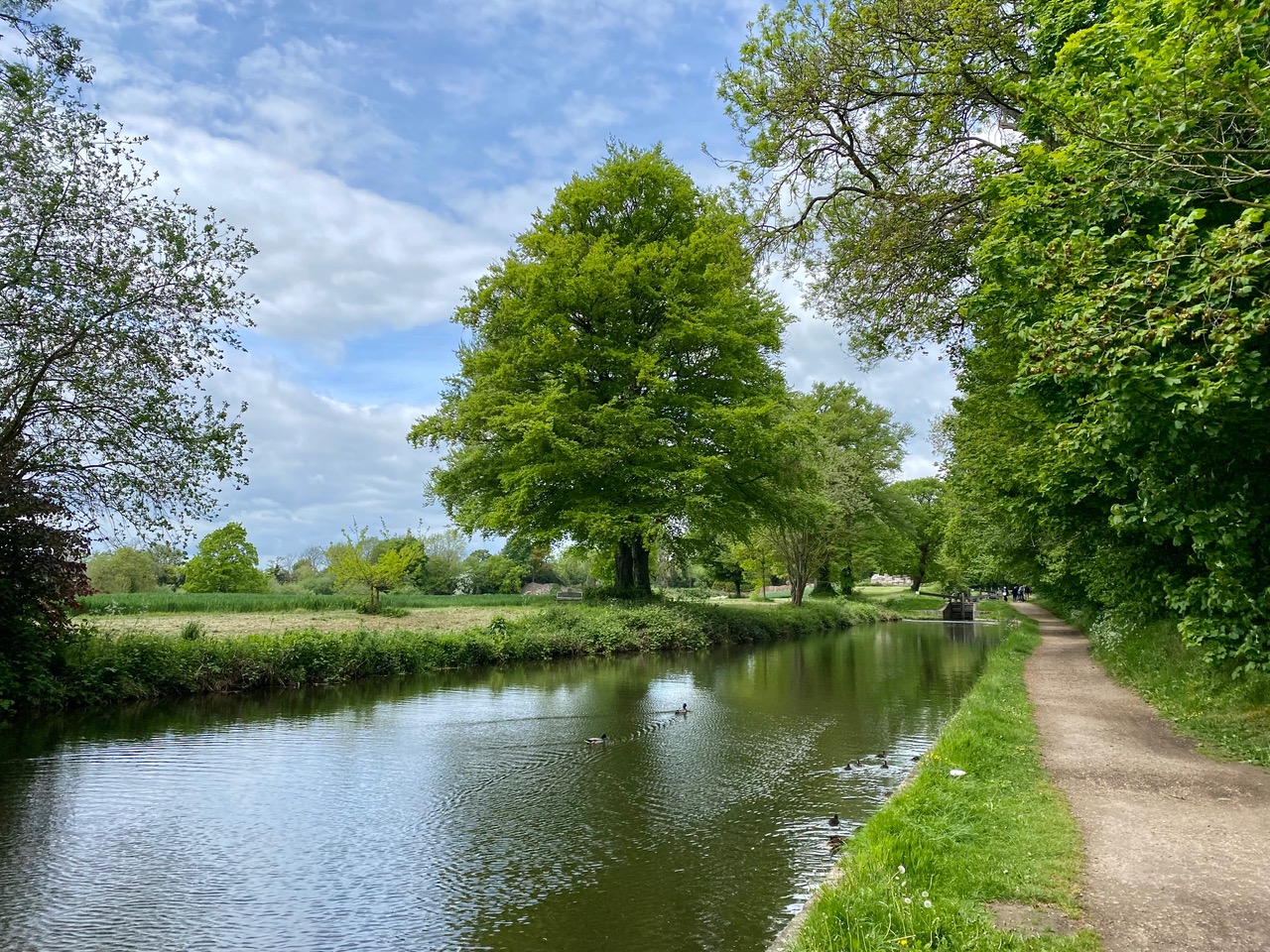 Fwd: Turnerwood Chesterfield Canal. Keith Bown			
					</div><!-- .entry-content -->
		
		<footer>
		
		
		
					
					</footer><!-- .entry-meta -->
	</article><!-- #post -->
				
											
				
		
<hr class=