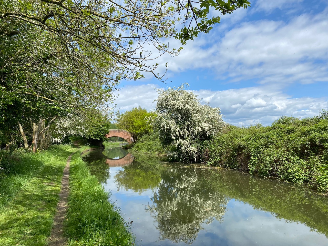 Fwd: Chesterfield Canal Worksop. Keith Bown			
					</div><!-- .entry-content -->
		
		<footer>
		
		
		
					
					</footer><!-- .entry-meta -->
	</article><!-- #post -->
				
											
				
		
<hr class=
