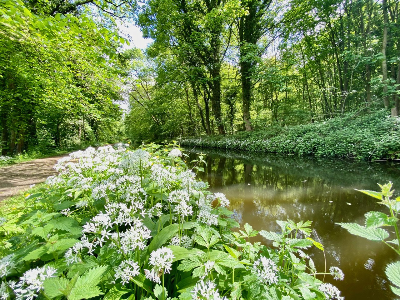 Fwd: Chesterfield Canal. Keith Bown			
					</div><!-- .entry-content -->
		
		<footer>
		
		
		
					
					</footer><!-- .entry-meta -->
	</article><!-- #post -->
				
											
				
		
<hr class=