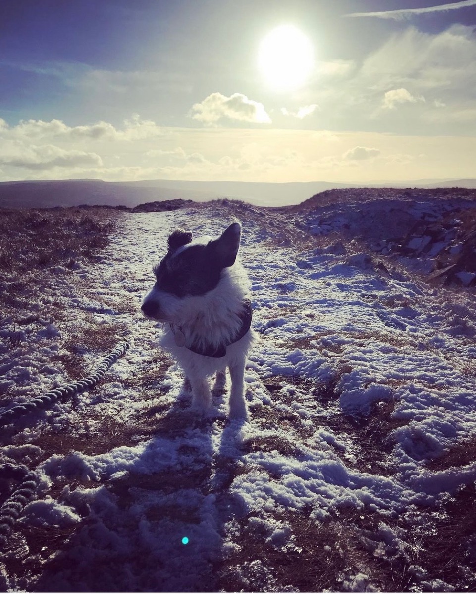 Fwd: Snow			
					</div><!-- .entry-content -->
		
		<footer>
		
		
		
					
					</footer><!-- .entry-meta -->
	</article><!-- #post -->
				
											
				
		
<hr class=