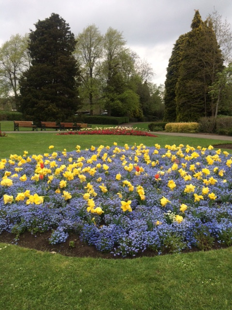 Fwd: Millhouses Park			
					</div><!-- .entry-content -->
		
		<footer>
		
		
		
					
					</footer><!-- .entry-meta -->
	</article><!-- #post -->
				
											
				
		
<hr class=