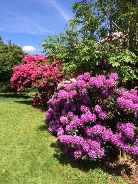 Fwd: Graves Park			
					</div><!-- .entry-content -->
		
		<footer>
		
		
		
					
					</footer><!-- .entry-meta -->
	</article><!-- #post -->
				
											
				
		
<hr class=