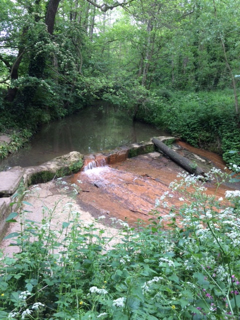 Fwd: Eckington woods			
					</div><!-- .entry-content -->
		
		<footer>
		
		
		
					
					</footer><!-- .entry-meta -->
	</article><!-- #post -->
				
											
				
		
<hr class=