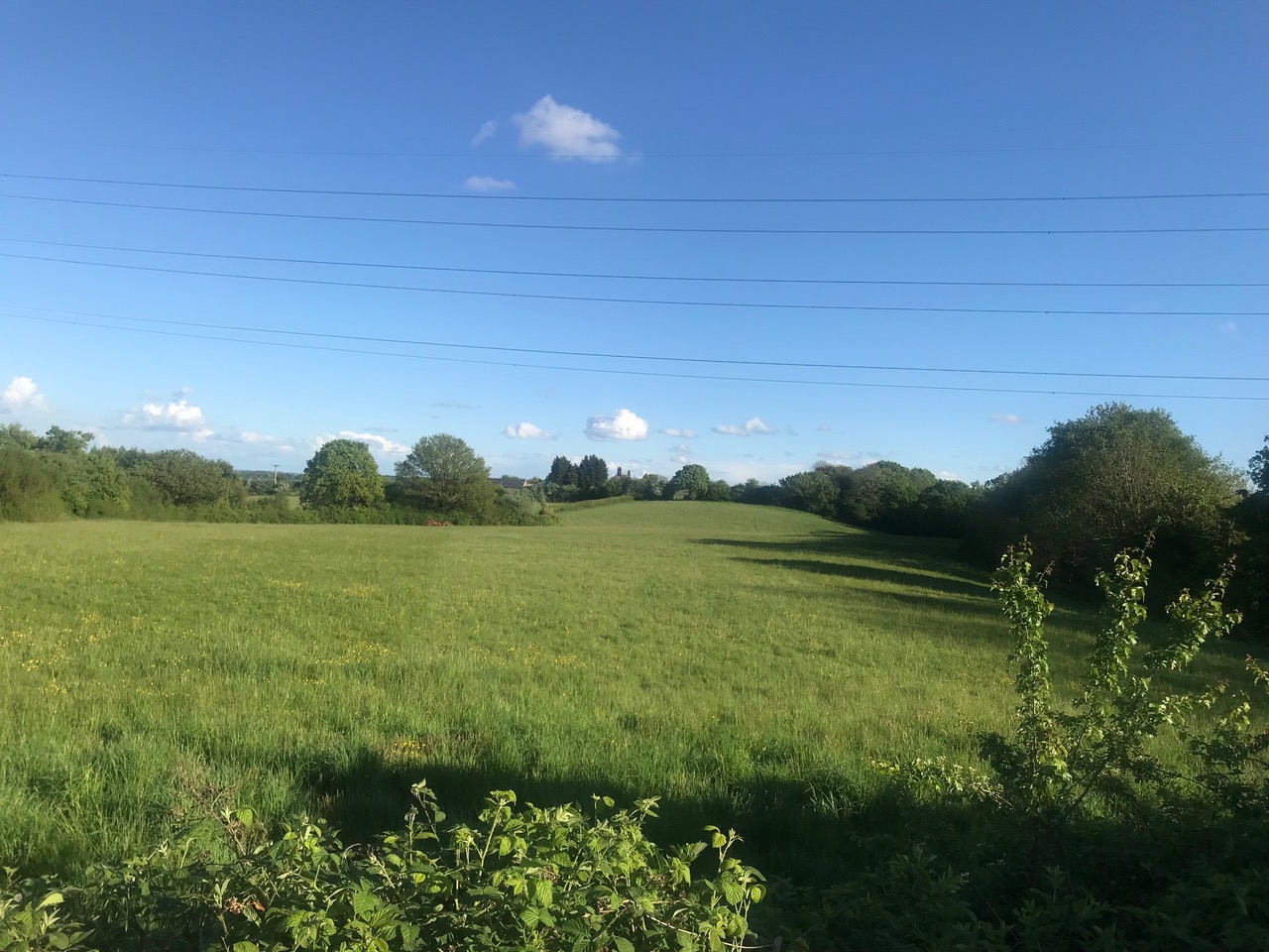 Fwd: Charnock			
					</div><!-- .entry-content -->
		
		<footer>
		
		
		
					
					</footer><!-- .entry-meta -->
	</article><!-- #post -->
				
											
				
		
<hr class=