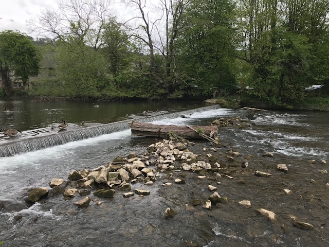 Fwd: Geoff Swindells, River Wye, weir Bakewell			
					</div><!-- .entry-content -->
		
		<footer>
		
		
		
					
					</footer><!-- .entry-meta -->
	</article><!-- #post -->
				
											
				
		
<hr class=