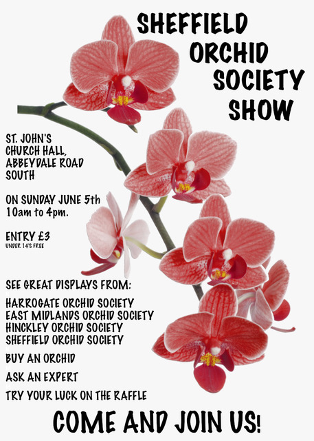 Orchid show