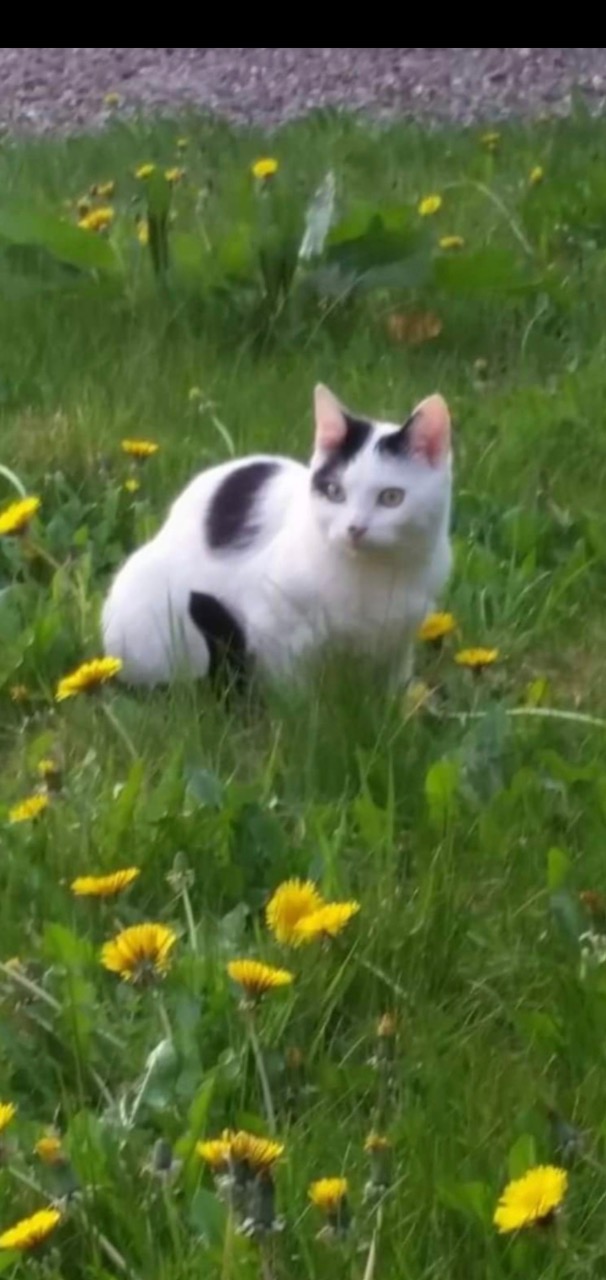 Fwd: [SPAM] Darnall cat Lee hall			
					</div><!-- .entry-content -->
		
		<footer>
		
		
		
					
					</footer><!-- .entry-meta -->
	</article><!-- #post -->
				
											
				
		
<hr class=
