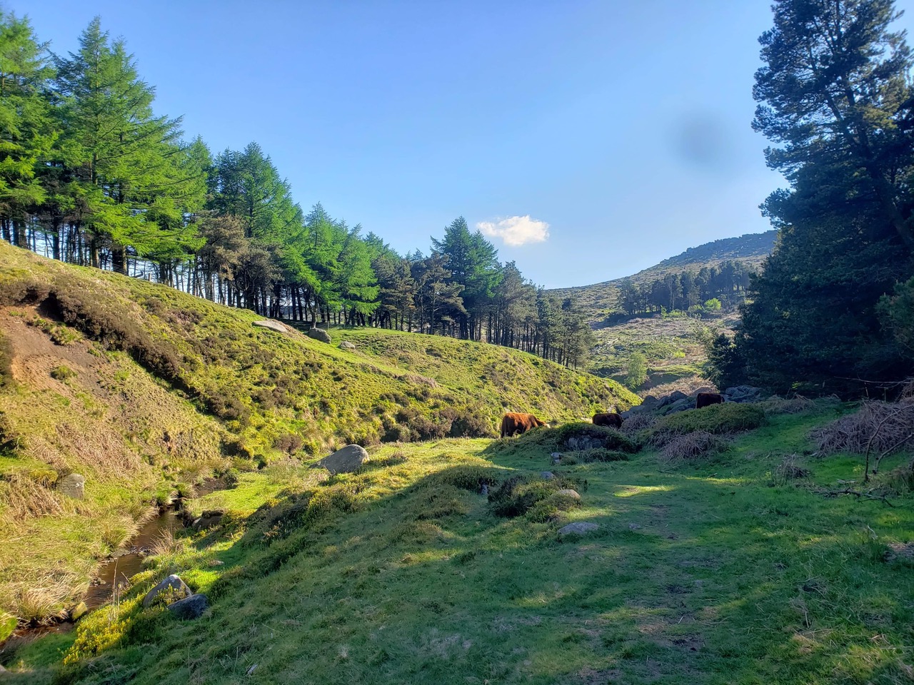 Fwd: Likhita Pasupula, stanage edge			
					</div><!-- .entry-content -->
		
		<footer>
		
		
		
					
					</footer><!-- .entry-meta -->
	</article><!-- #post -->
				
											
				
		
<hr class=