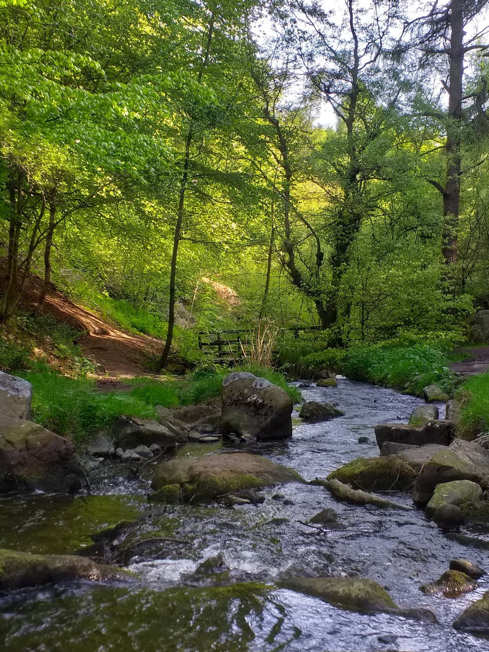 Fwd: Wyming Brook by Mark Winter			
					</div><!-- .entry-content -->
		
		<footer>
		
		
		
					
					</footer><!-- .entry-meta -->
	</article><!-- #post -->
				
											
				
		
<hr class=