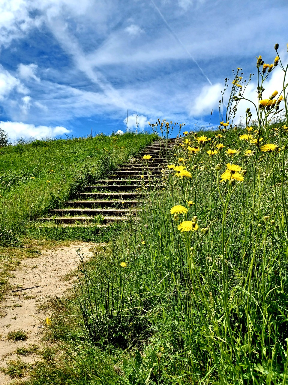 Fwd: Centenary Riverside by Mark Winter			
					</div><!-- .entry-content -->
		
		<footer>
		
		
		
					
					</footer><!-- .entry-meta -->
	</article><!-- #post -->
				
											
				
		
<hr class=
