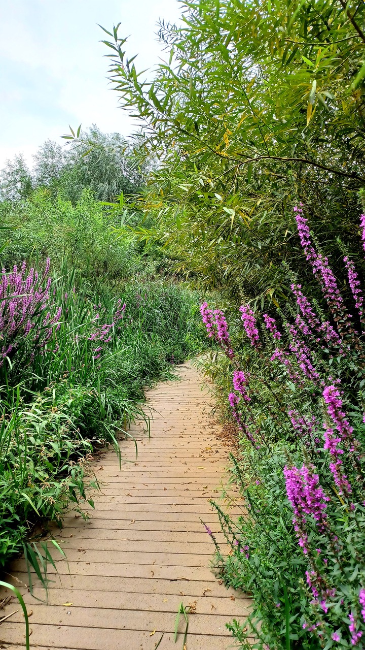 Fwd: Centenary Riverside, Rotherham by Mark Winter			
					</div><!-- .entry-content -->
		
		<footer>
		
		
		
					
					</footer><!-- .entry-meta -->
	</article><!-- #post -->
				
											
				
		
<hr class=