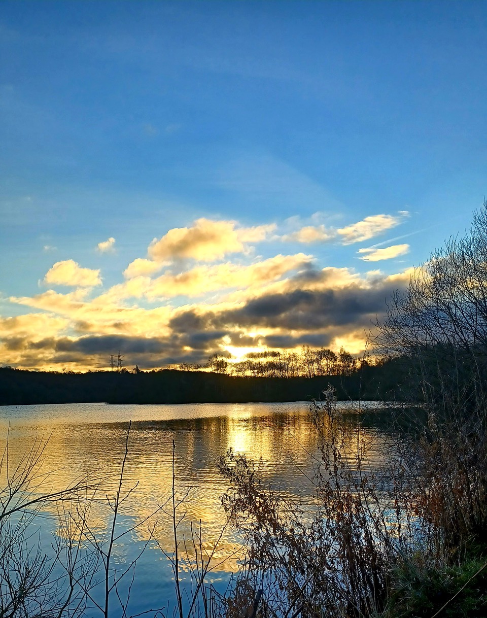 Fwd: Treeton Dyke by Mark Winter			
					</div><!-- .entry-content -->
		
		<footer>
		
		
		
					
					</footer><!-- .entry-meta -->
	</article><!-- #post -->
				
											
				
		
<hr class=