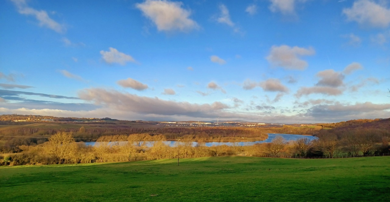 Fwd: Treeton Dyke by Mark Winter			
					</div><!-- .entry-content -->
		
		<footer>
		
		
		
					
					</footer><!-- .entry-meta -->
	</article><!-- #post -->
				
											
				
		
<hr class=