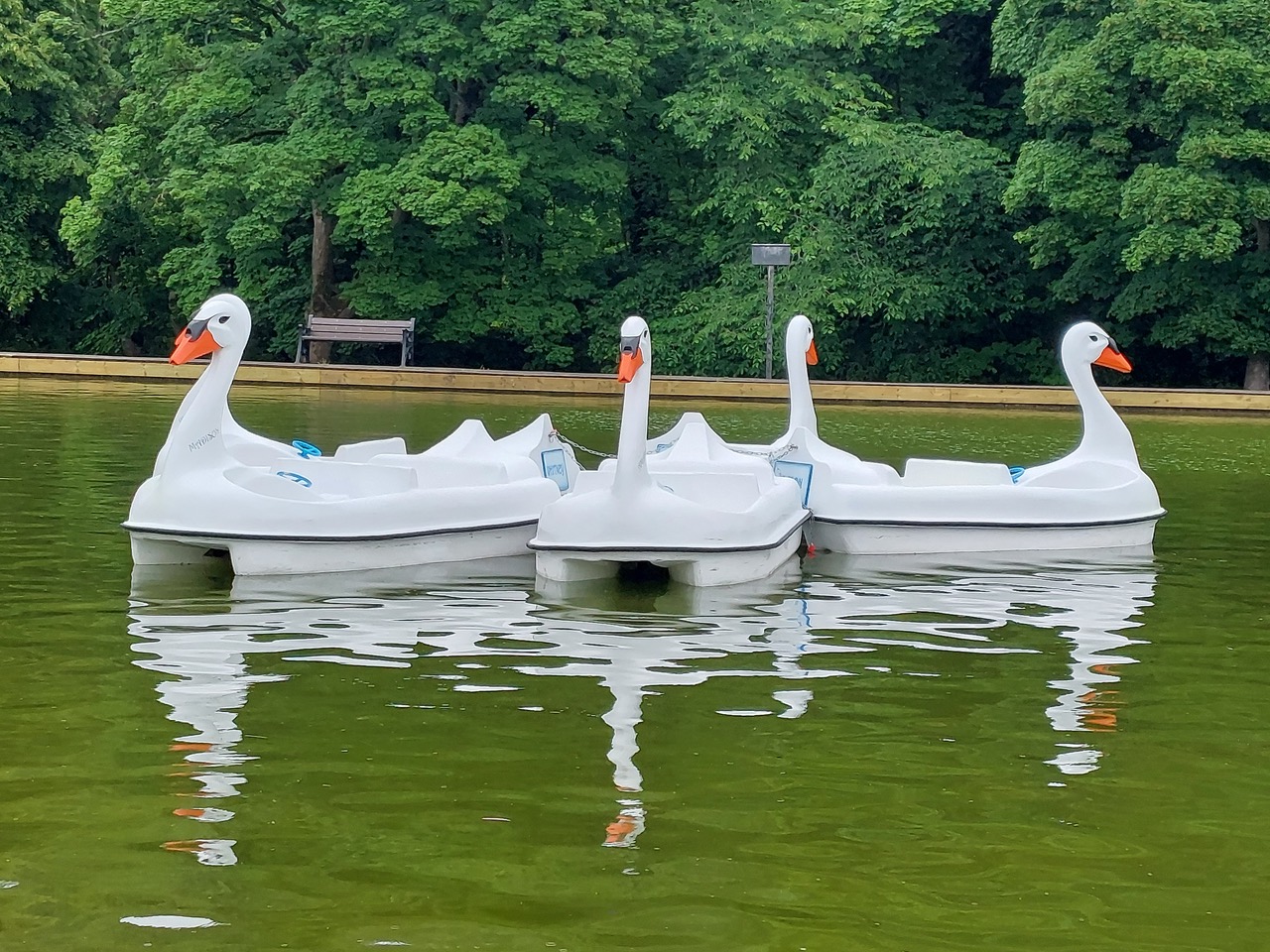 Fwd: Swans at Millhouses by Gullface London			
					</div><!-- .entry-content -->
		
		<footer>
		
		
		
					
					</footer><!-- .entry-meta -->
	</article><!-- #post -->
				
											
				
		
<hr class=